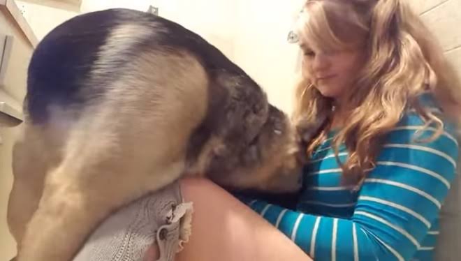 Dog And Girl Original YouTube Viral Video Link , Watch Dog And Girl Full Viral Video , Dog And Girl Full Video Download