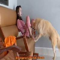 dog and girl viral video original download , dog and girl viral video original Link